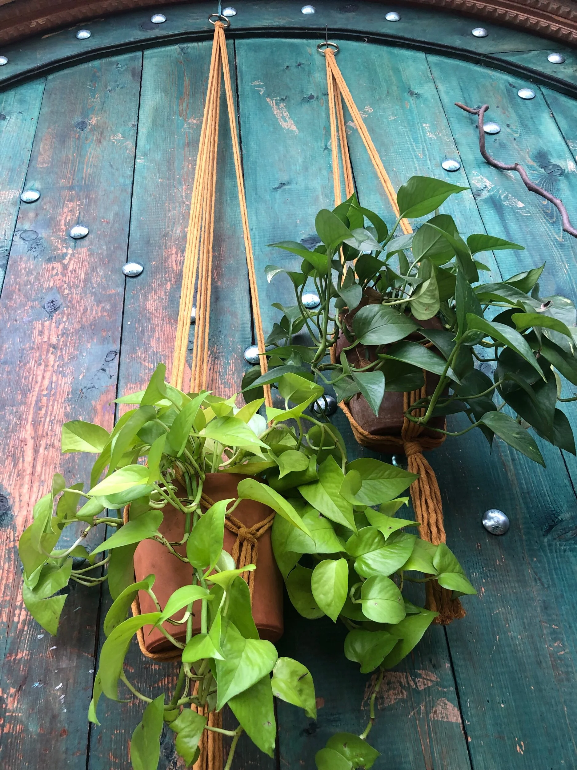 55CA319D-020C-492A-A27F-967521A6FF78