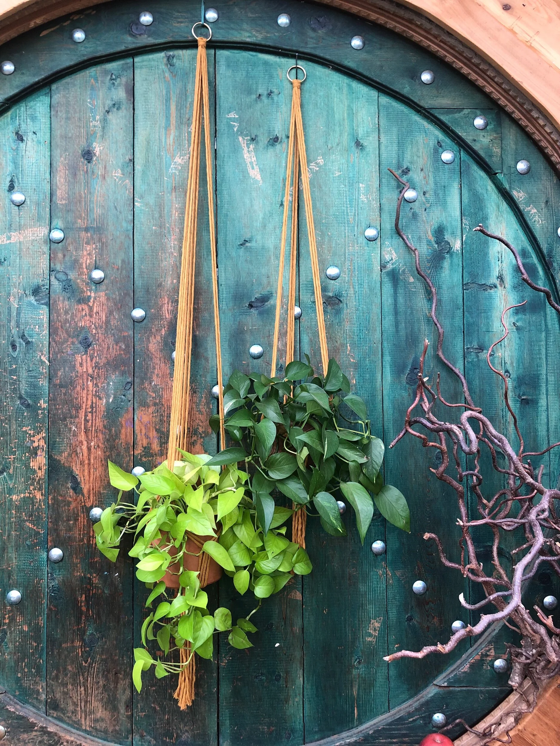 16D9CD2C-AFBF-4EEB-8D7E-8F3582D65DED