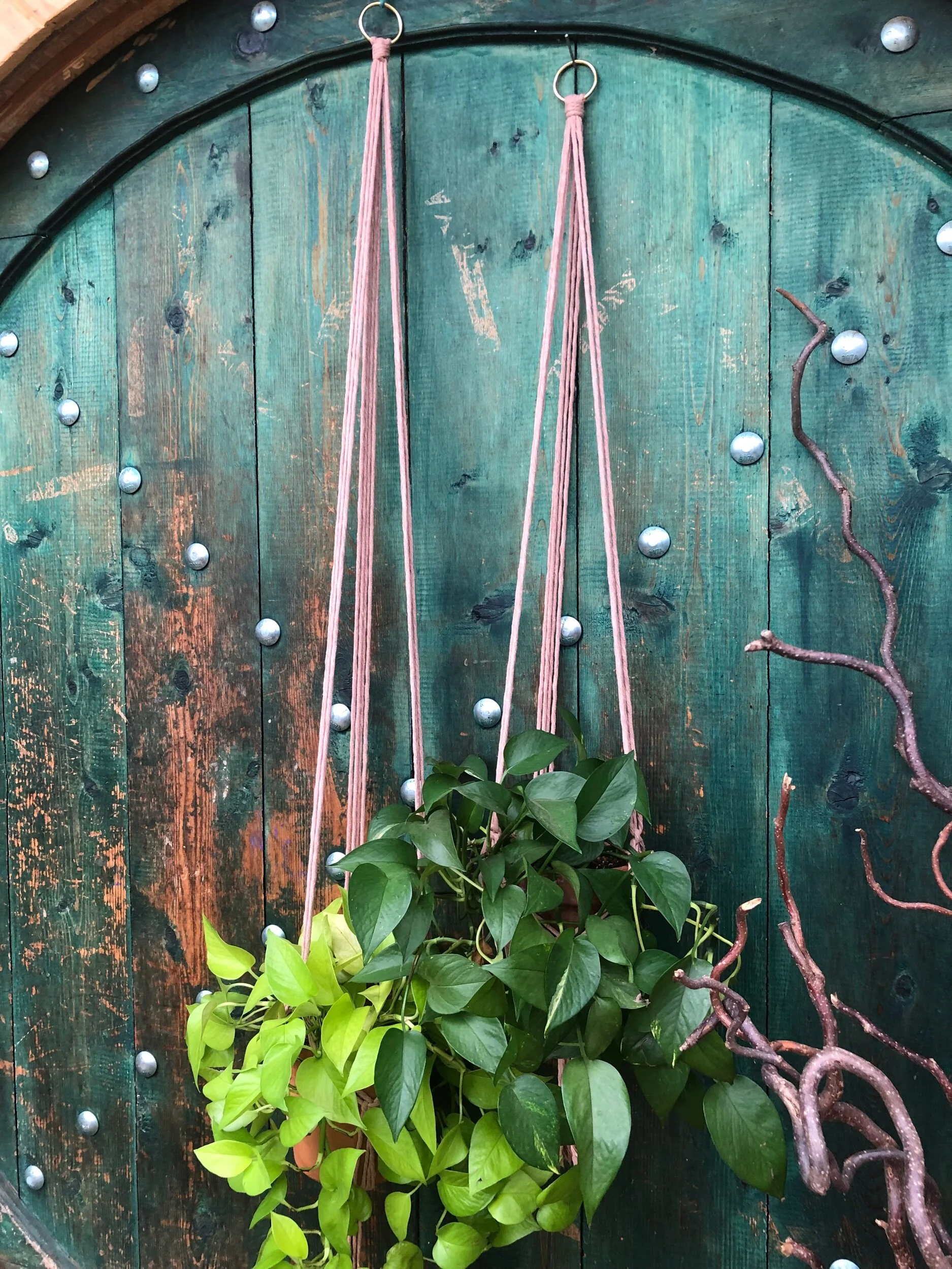 14BE3861-BAE6-4670-B366-571E7251CB9B