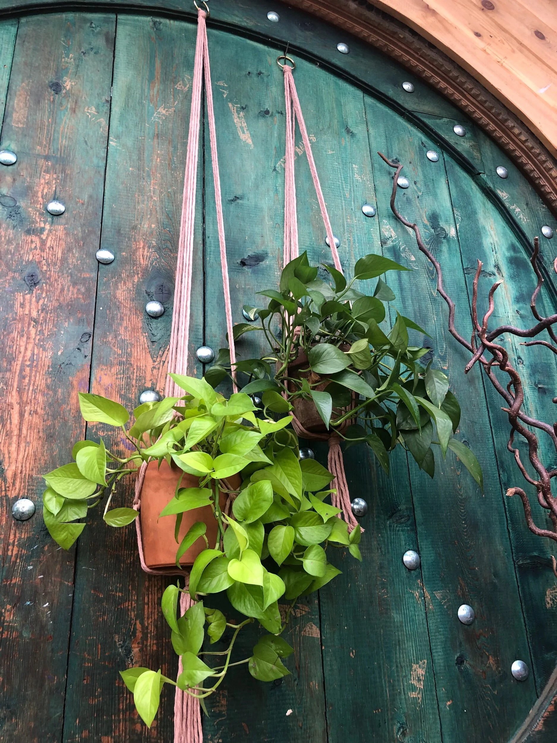 C4B4FAC2-F2A0-42E8-A6AE-3DCE923331E3