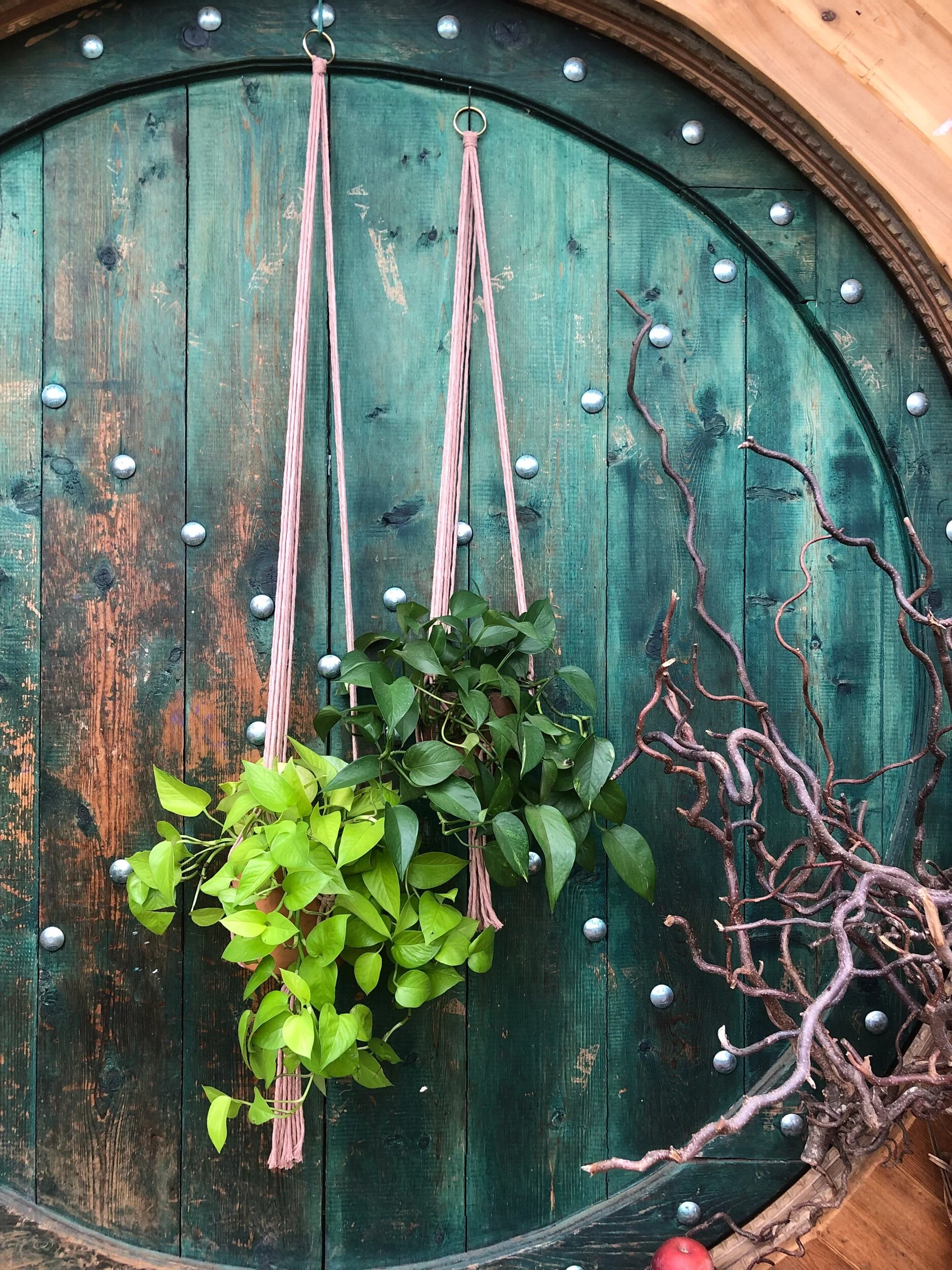 2DAADCC2-E8F4-4279-A4F2-781B9B857737