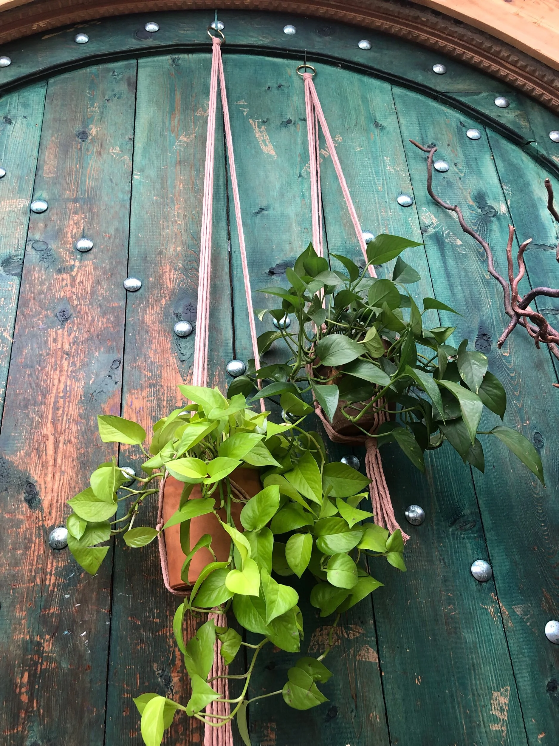 0A928739-567B-4243-B46F-786D24B09B48