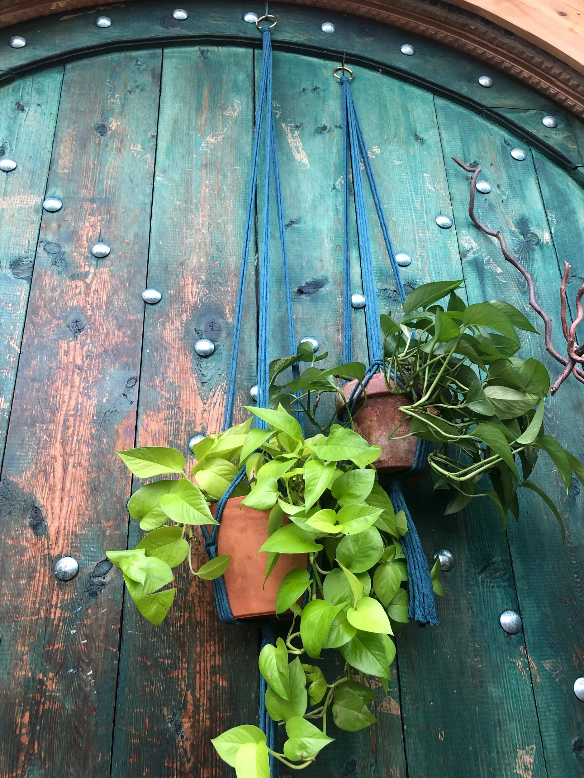 8B9367A0-3280-48DF-BFAB-89723818931A