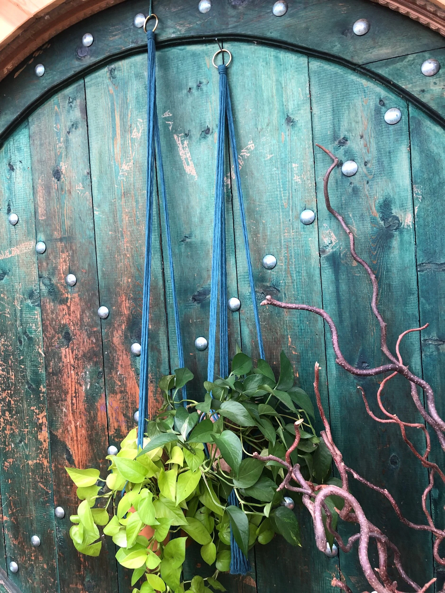 ABBA1023-51A1-4DF4-ADDC-CBBC87F2229C