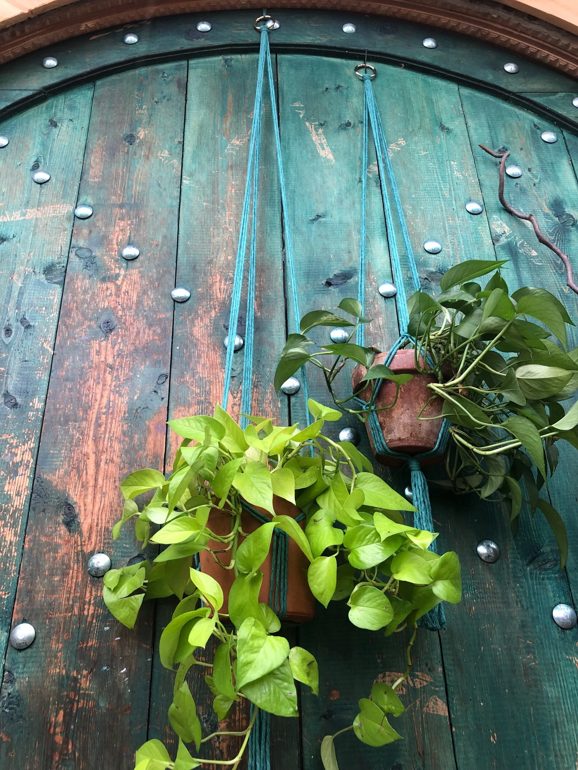 D02F61E7-E7FB-4160-8C72-C871B53DA2F8