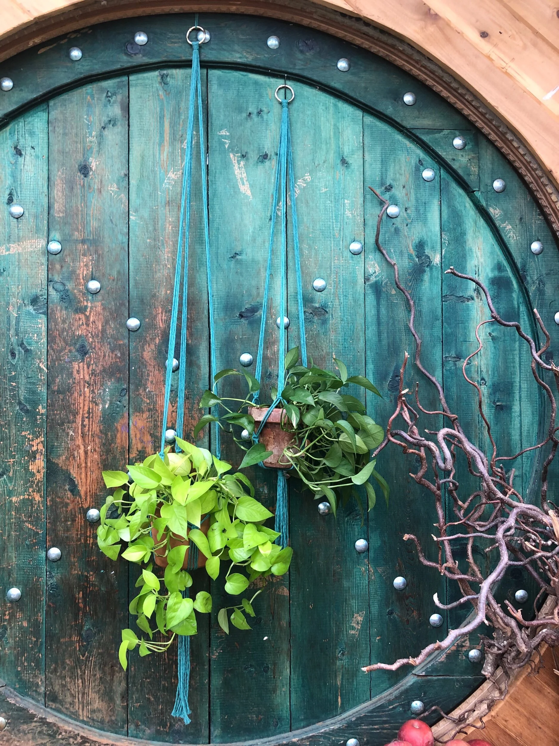 2626ACFC-FB0C-4D43-A984-3F2C3D0468AB