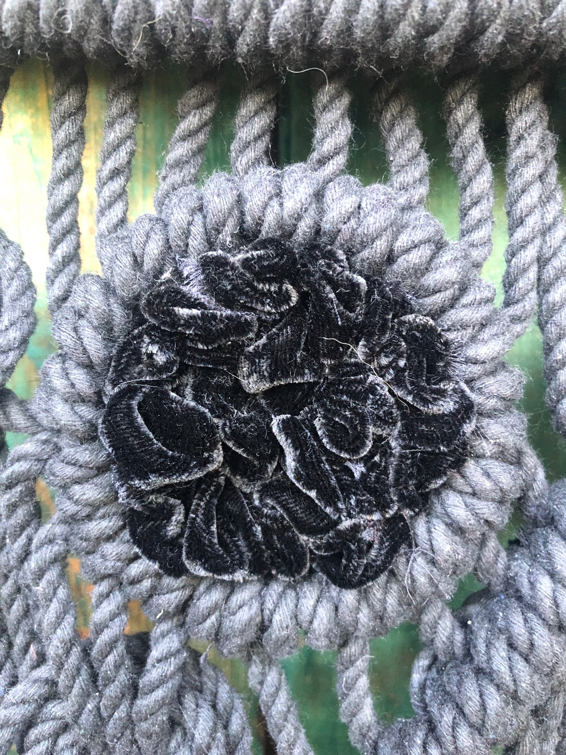 6E7103C4-2161-4938-9708-C163A12111B9