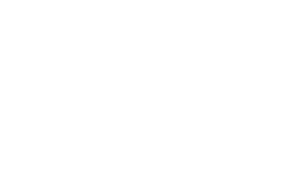 Prowess Search Partners