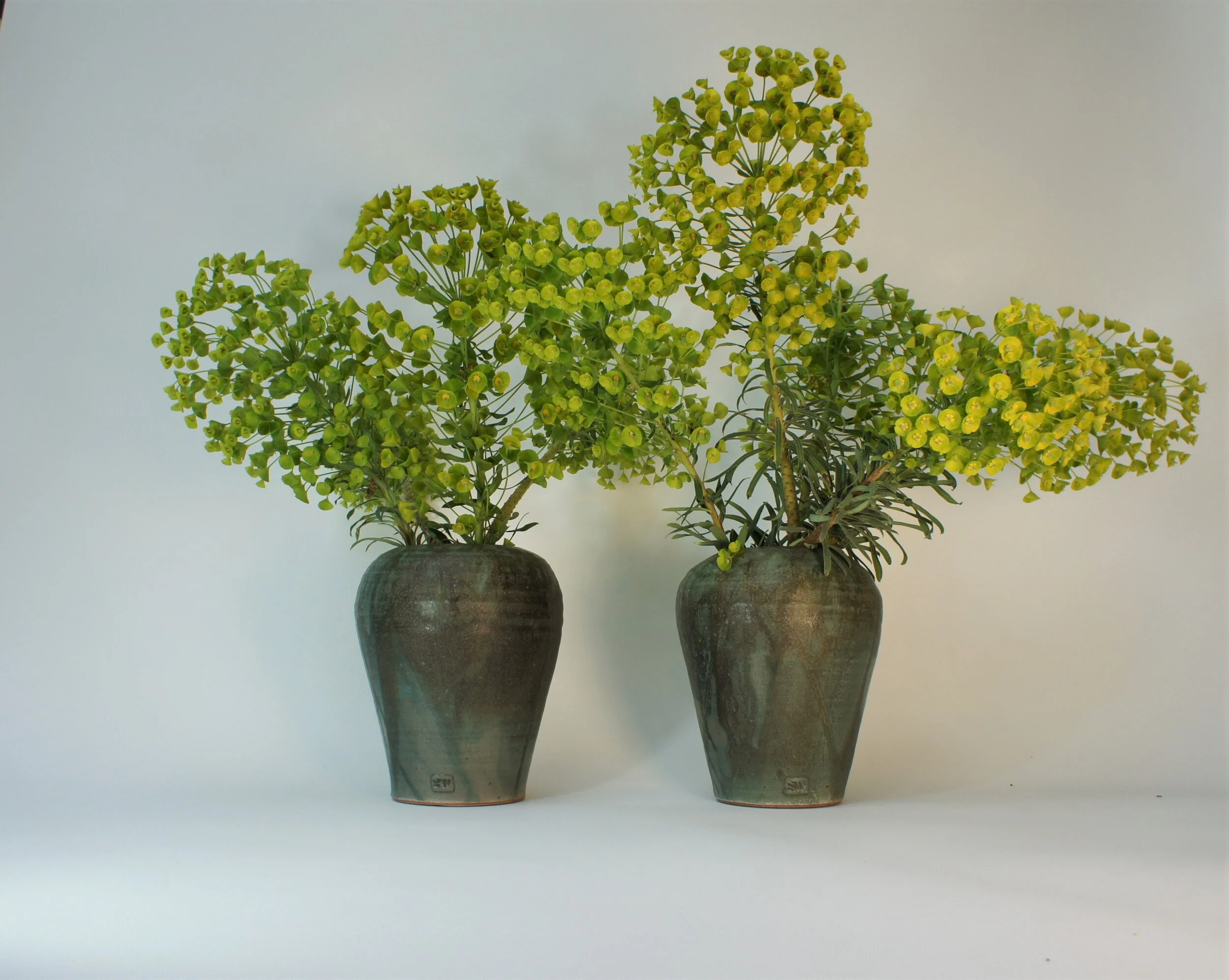  Moss vases 21cm x 16cm 