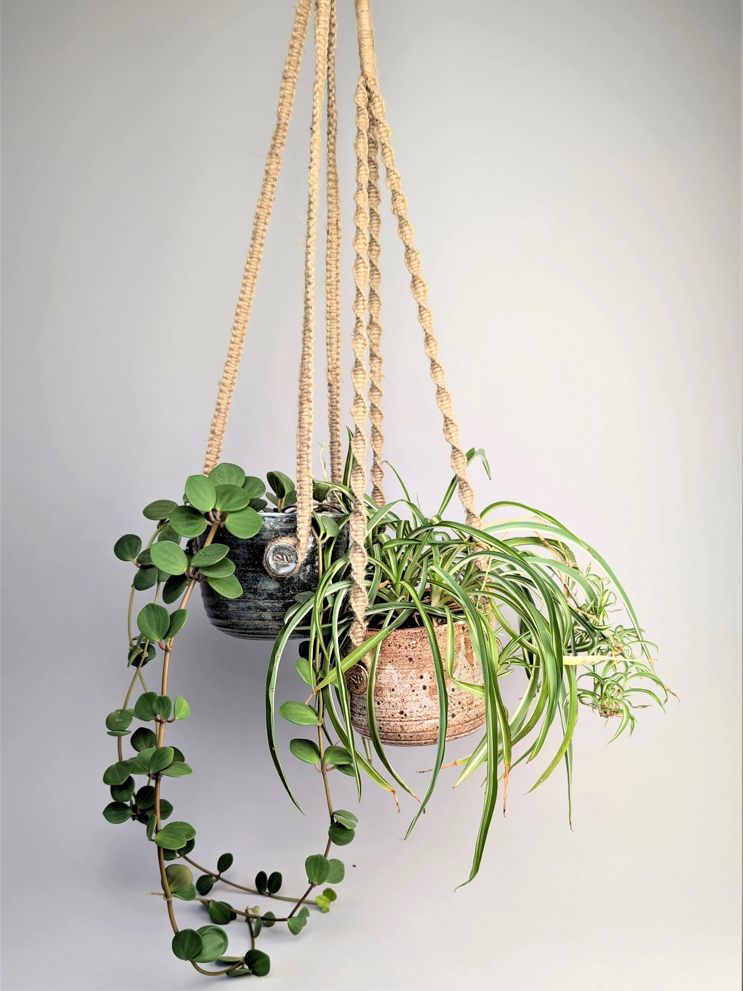 double hanging planter (2).jpg