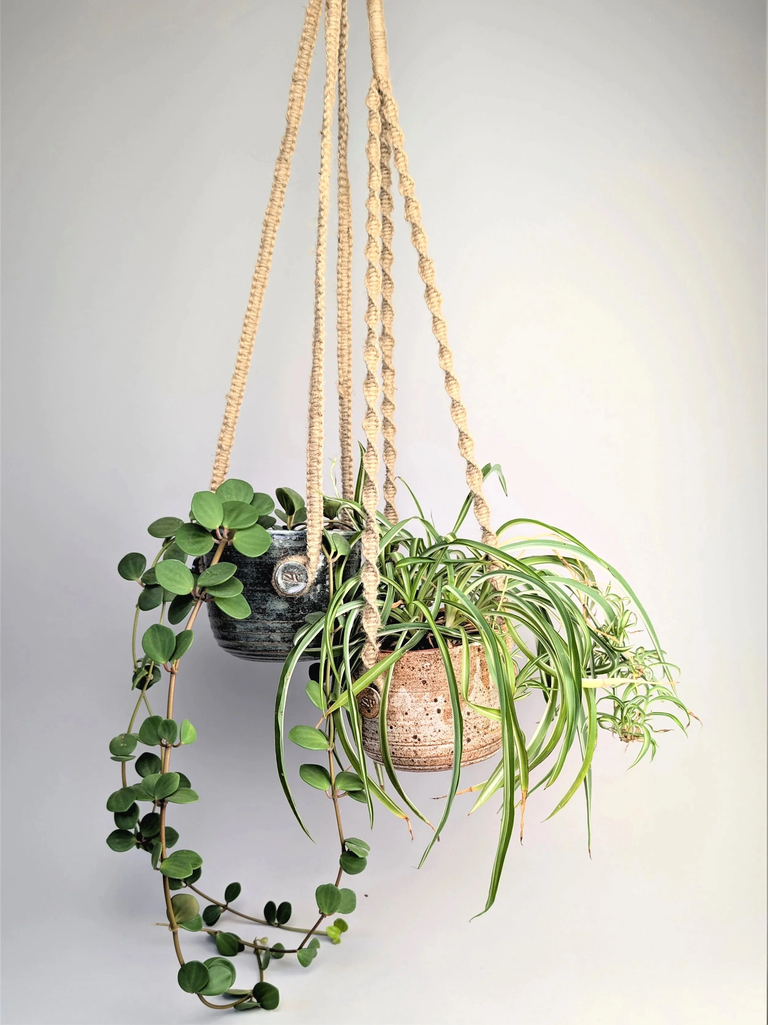 double+hanging+planter+%282%29.jpg