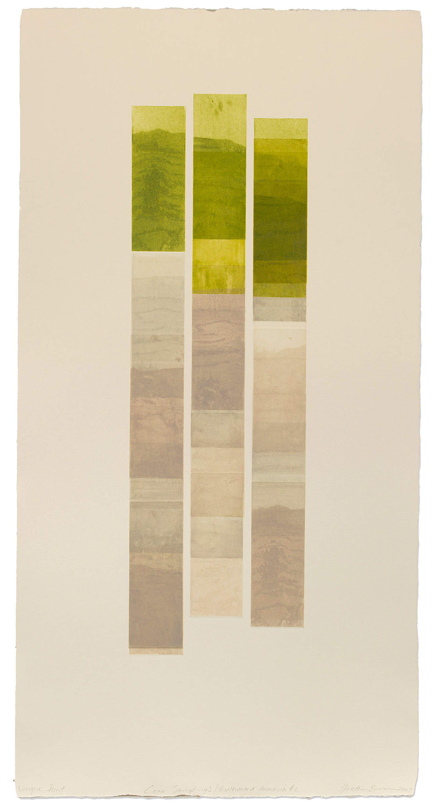 Core Samplings/ Cultivated Amnesia #2 etching 2008