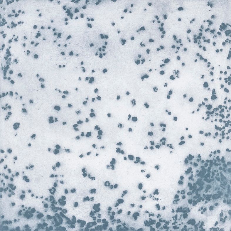 A Mist is a Collection of Points #2 , intaglio print from corroded steel plate, 2018, image size 60 x60cm, sheet size 70 x 70cm