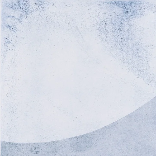 Honeysuckle Interference/ SW +A, intaglio print from corroded steel plate, 2018, image size 60 x60cm, sheet size 70 x 70cm