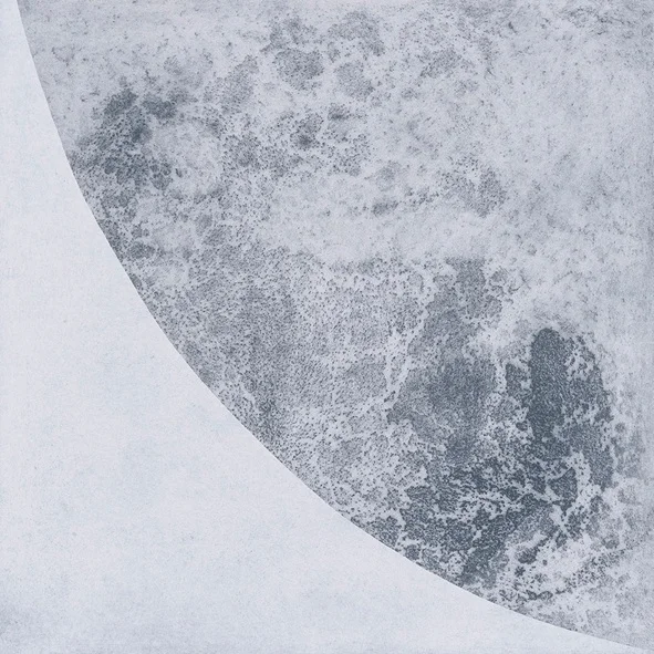 Honeysuckle Interference/ A +NE print from corroded steel plate, 2018, image size 60 x60cm, sheet size 70 x 70cm