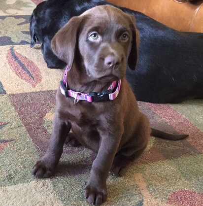 Harper!