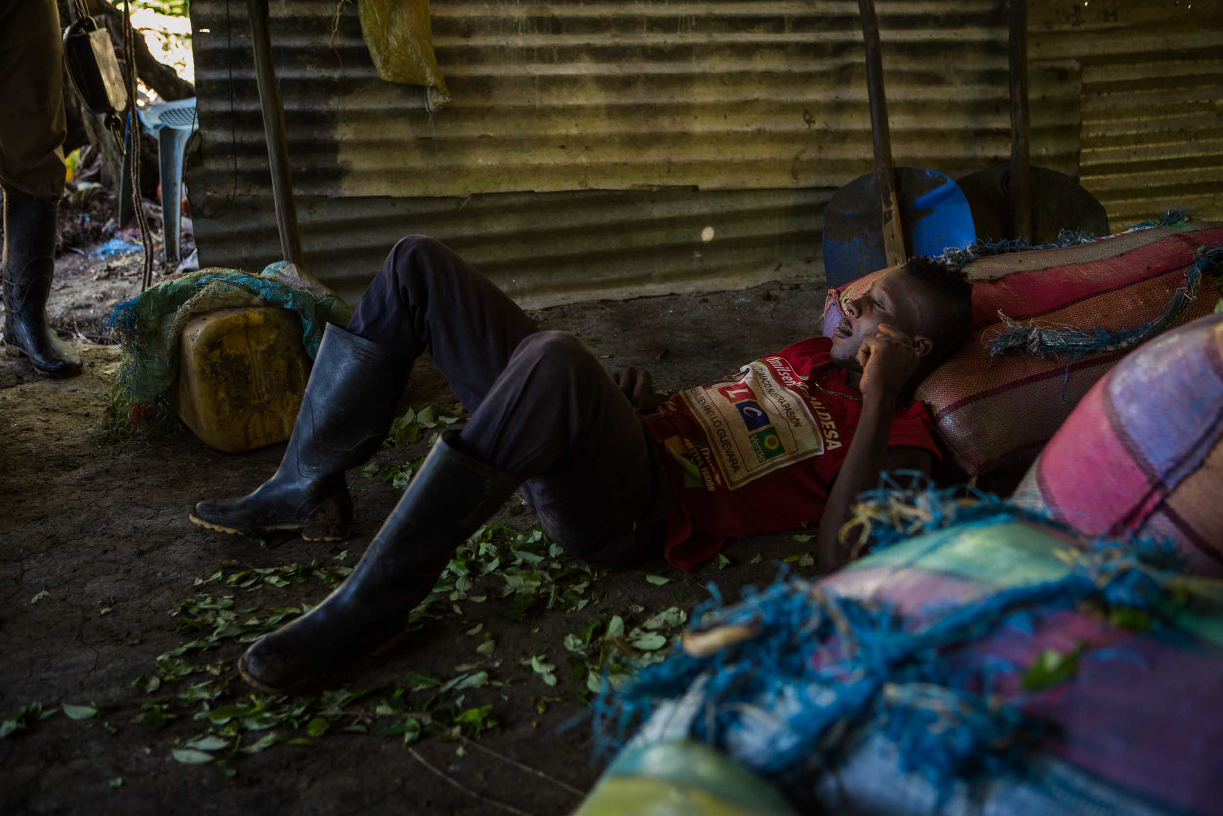  A worker is resting after a day of picking coca leaves in the laboratory, where the harvest is weighed. The workers collect up to 50kg of coca leaves a day. 