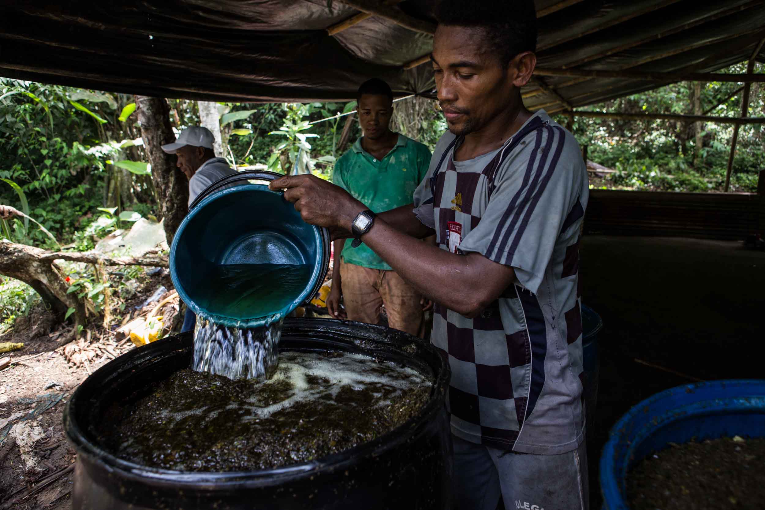  Locals are preparing the cocaine base paste. After being dried, the coca leaves are cut and mixed with gasoline. 