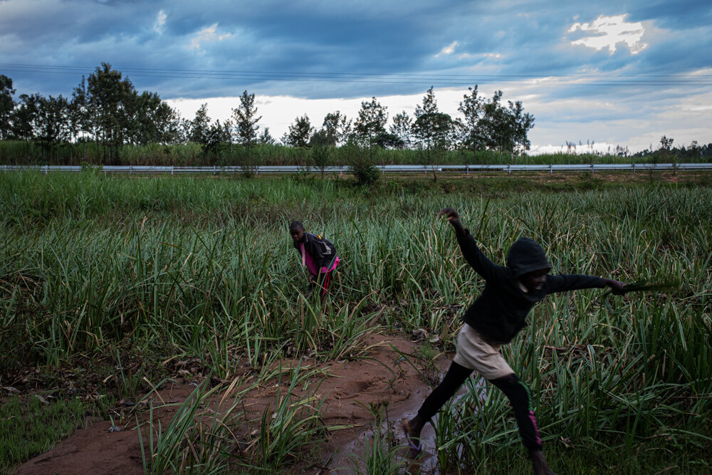  Two girls cut grass in a watery field in Kakamega County, Kenya. Malaria is spread by female Anopheles mosquitos, which breed in stagnant water and proliferate during the rainy season. 