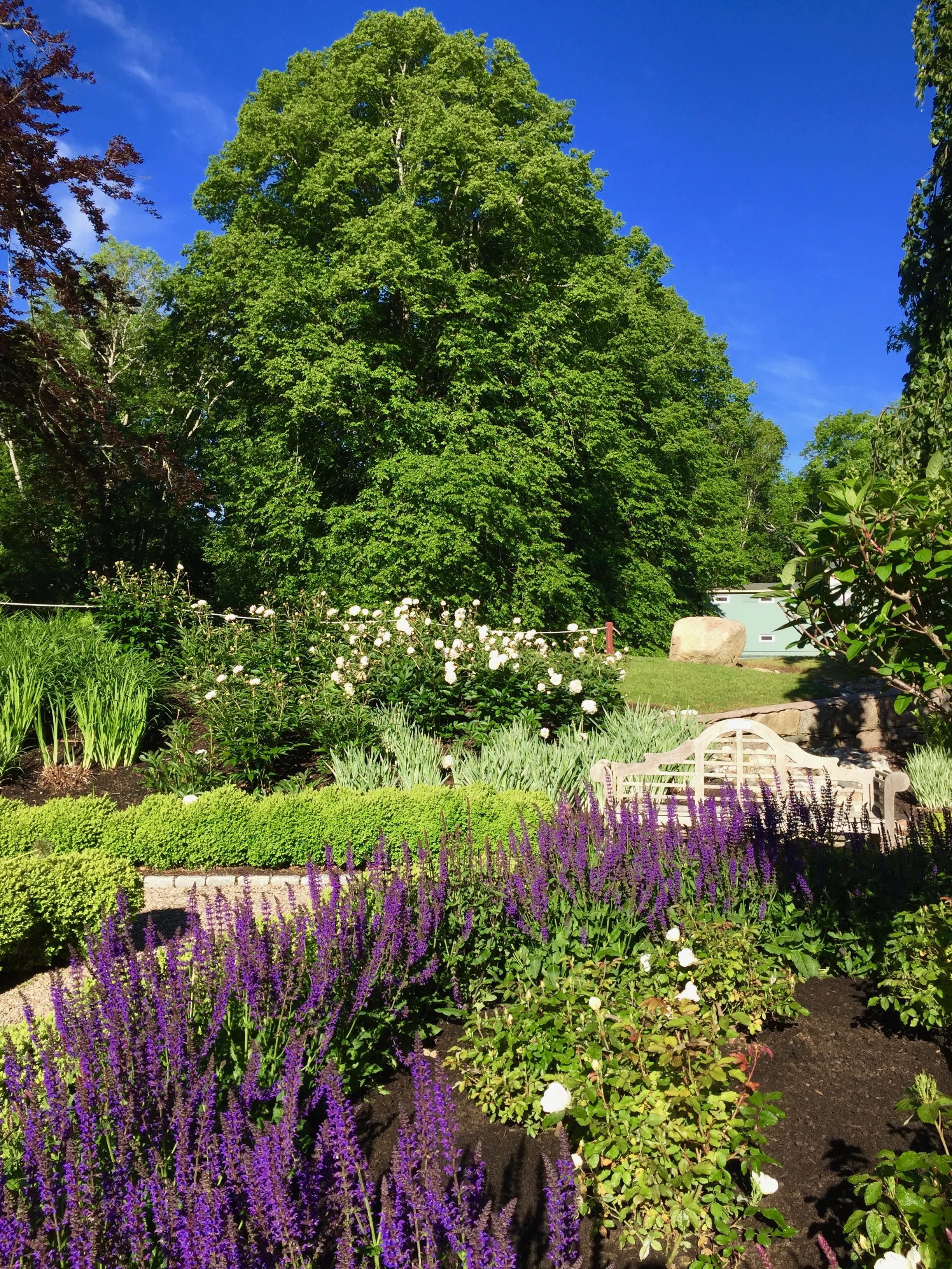 Visiting the Sunken Garden at Highfield Hall in Falmouth, MA 