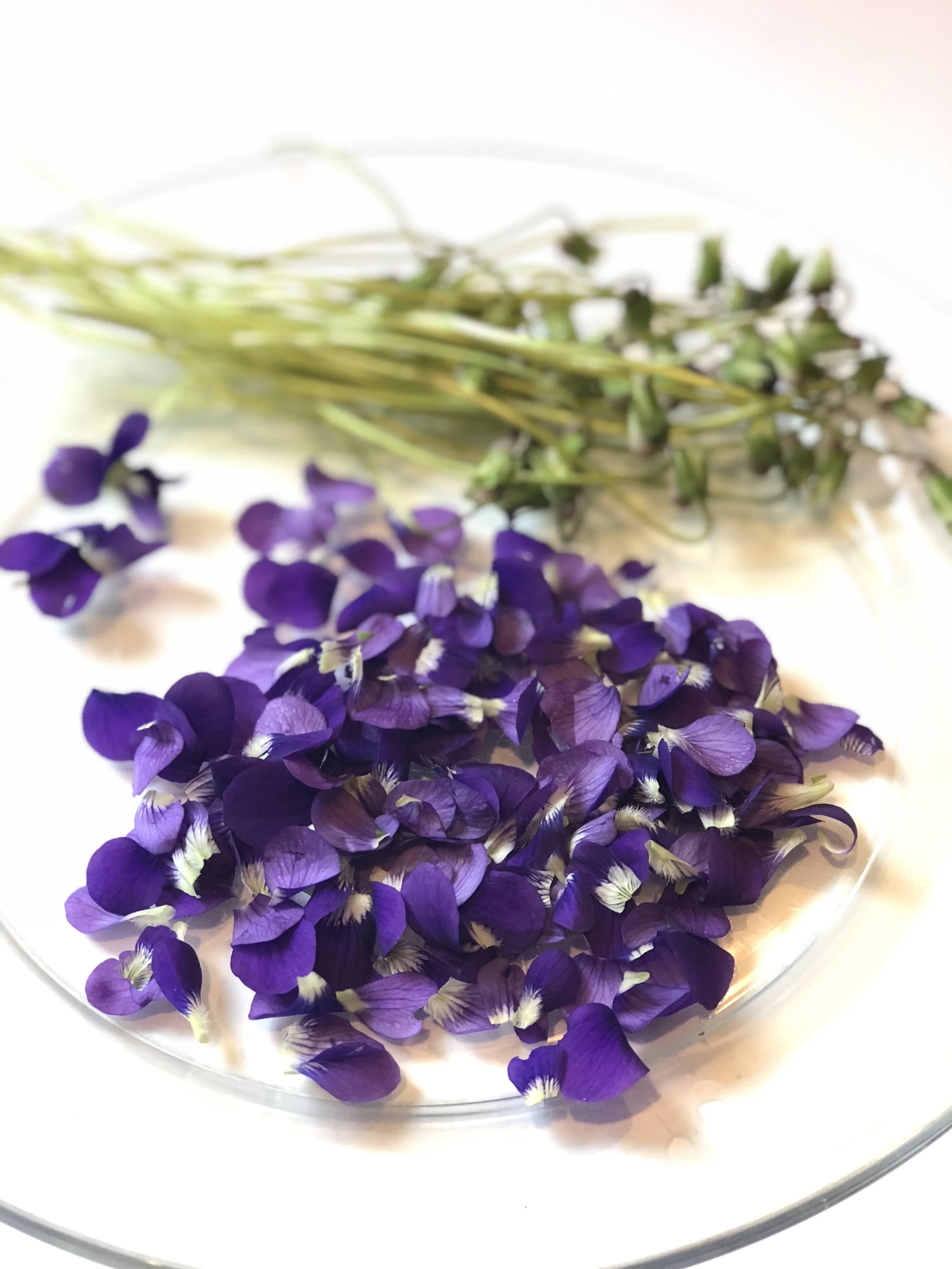 How to make wild violet simple syrup