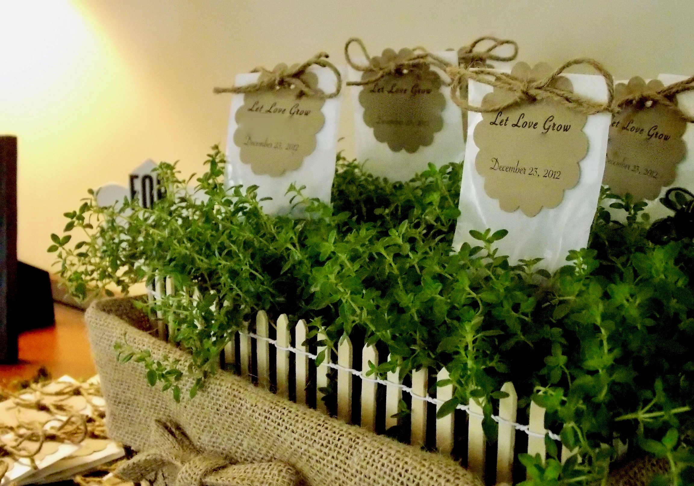 Flower seed favors for a sip and see