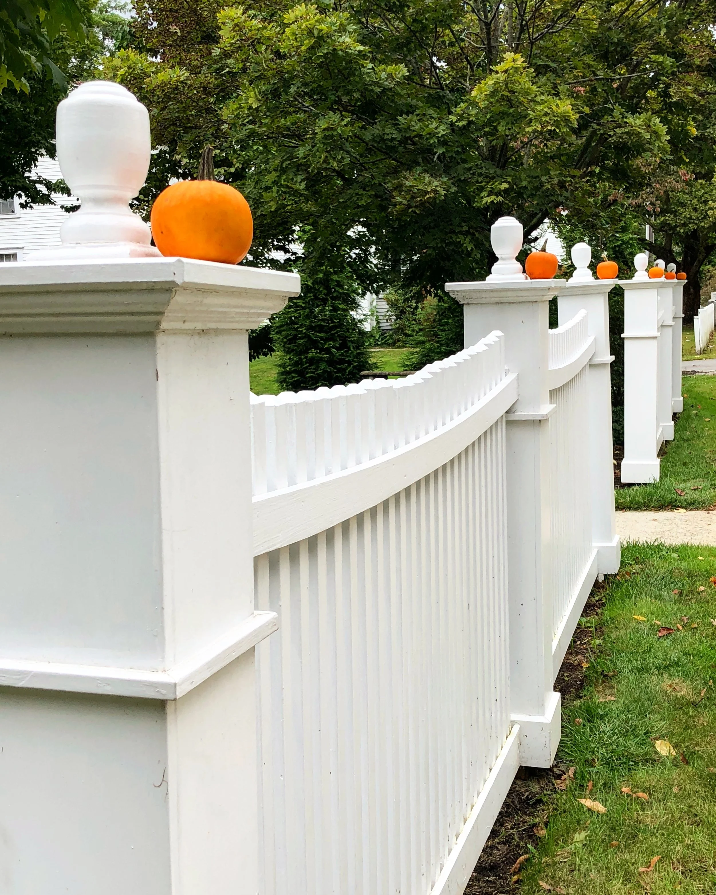 Simple fall touches - Mini pumpkins on our white New England picket fence 