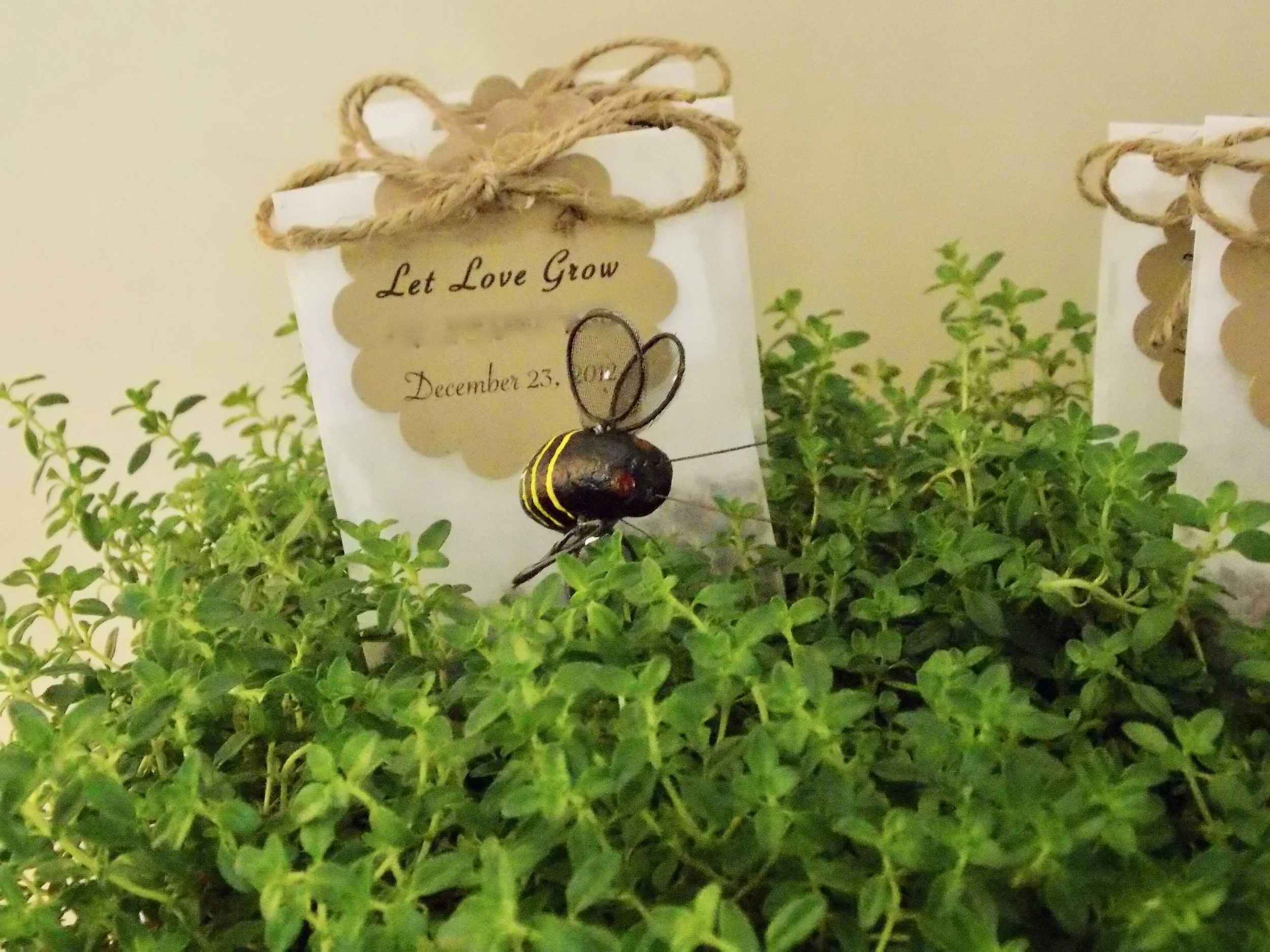 herbs used in garden theme party centerpiece.jpg