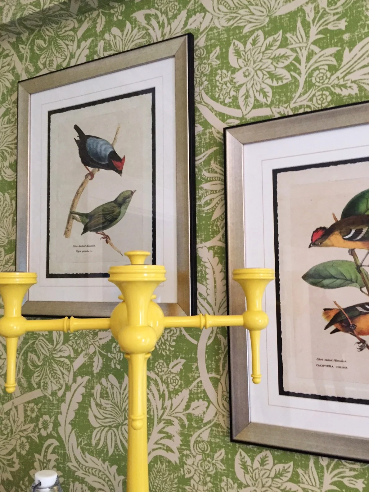 The Inn at Hastings Park - Lexington, MA