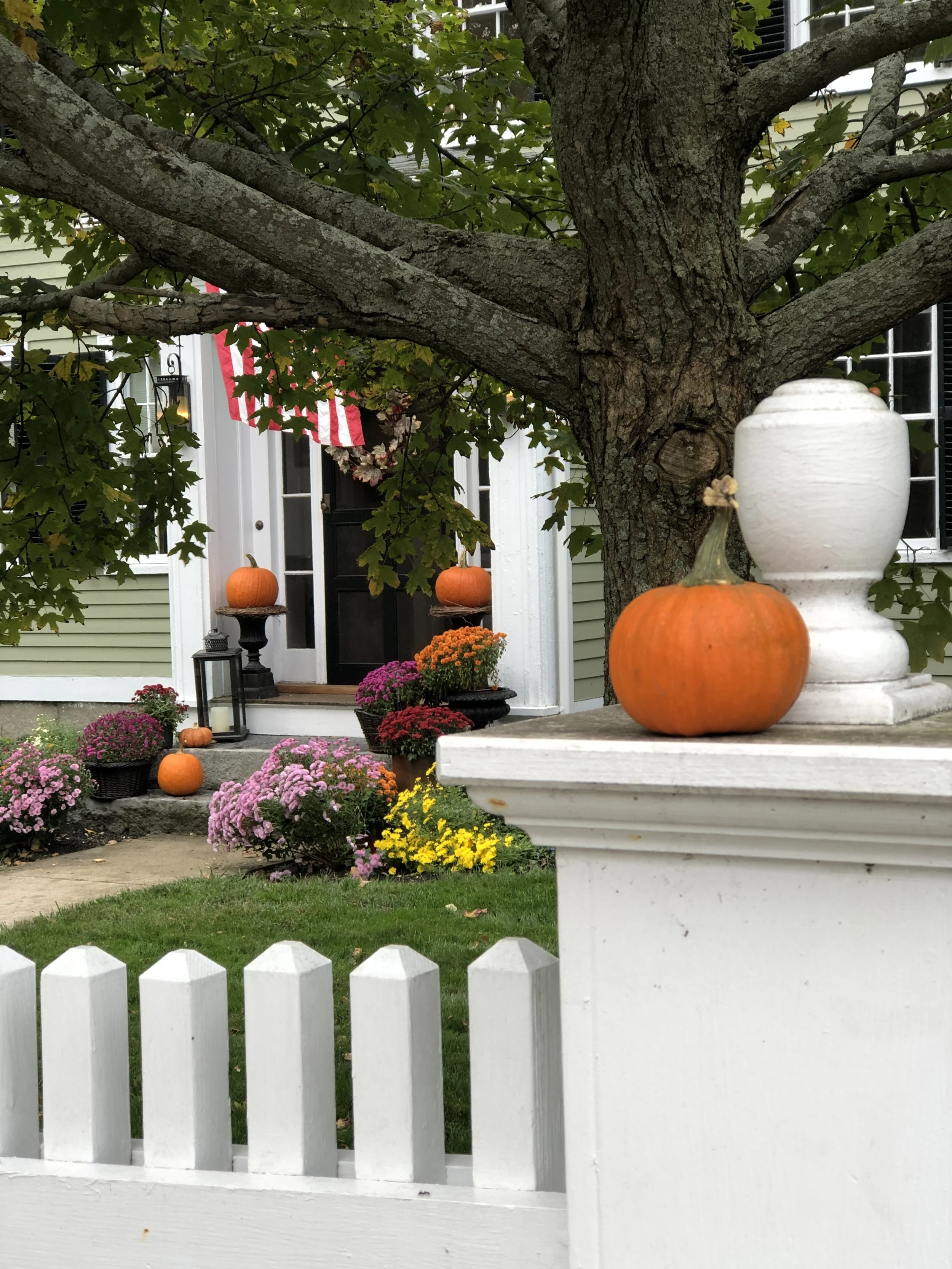 It's beginning to look a lot like fall at the Davis homestead. 