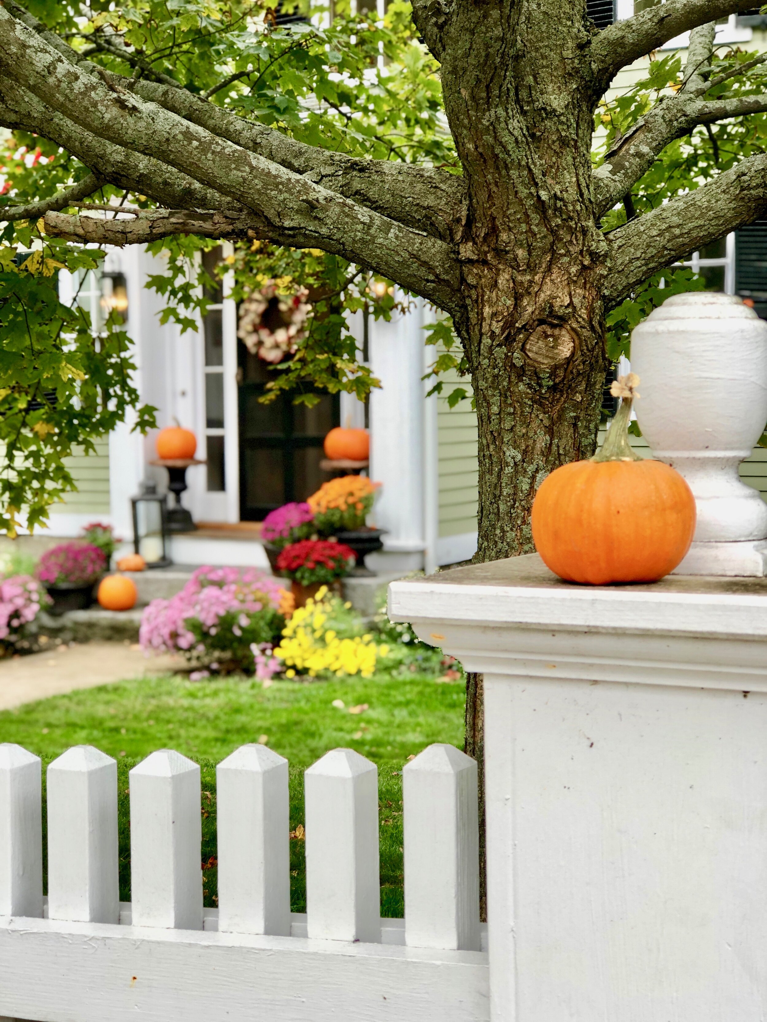 Fall home tour video of past fall decorating ideas