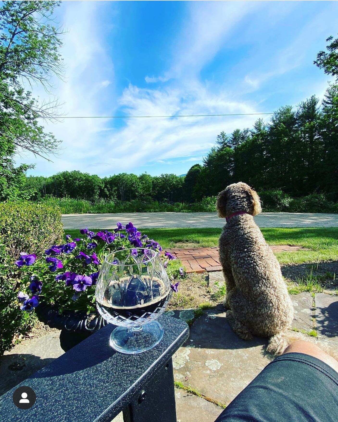 Insert &ldquo;Life is Good&rdquo; motto here. My Mr. is enjoying the view with Willow after a day of golf, while sipping beer from a cut crystal glass. ( Me: glad the glass didn&rsquo;t slide off the arm of the chair 🤣 ) #lifeisgoodtoday #newengland