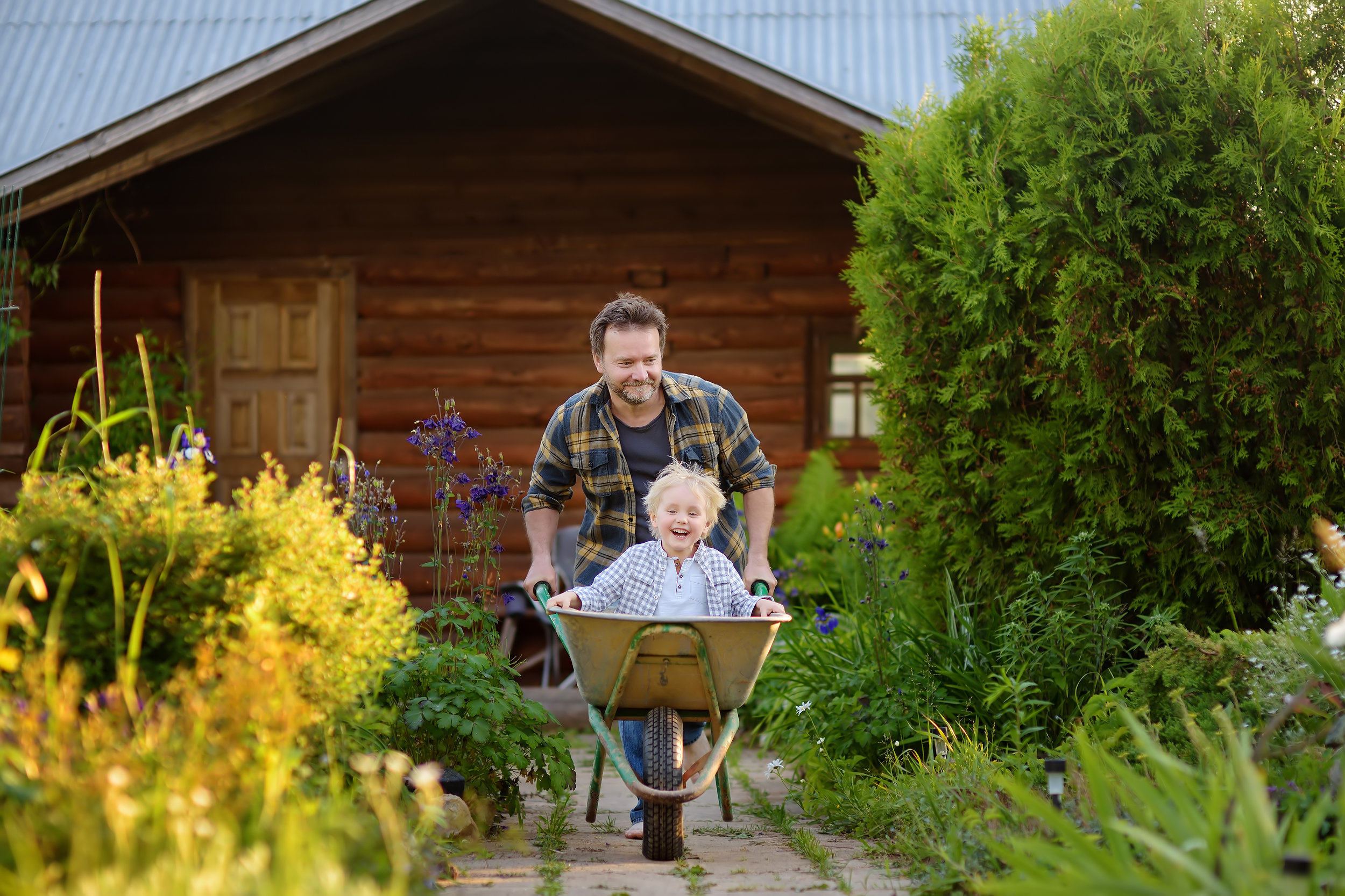iStock-1138165217.jpg