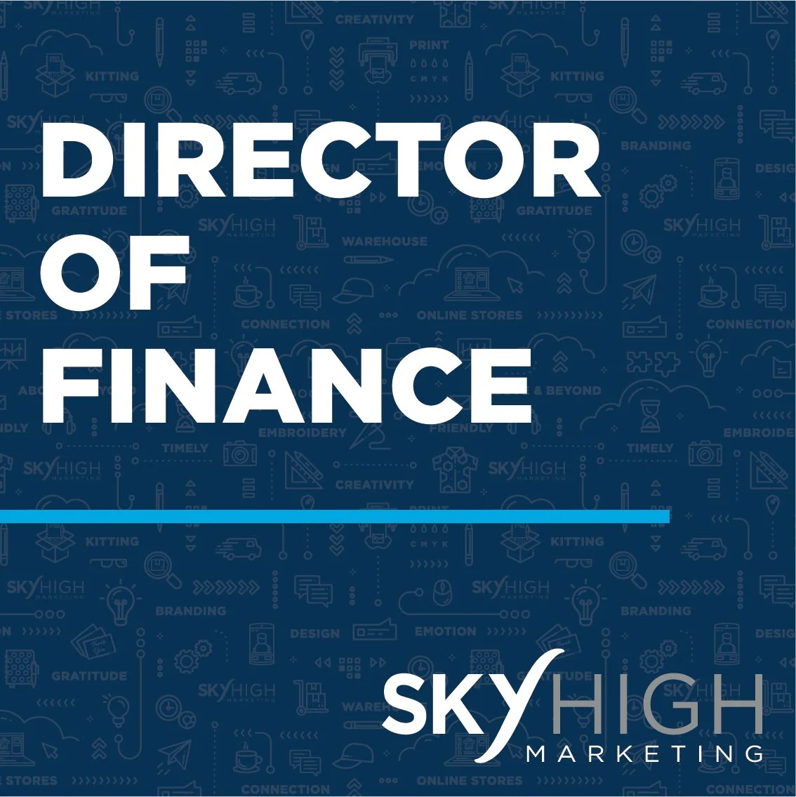 DIRECTOR OF FINANCE