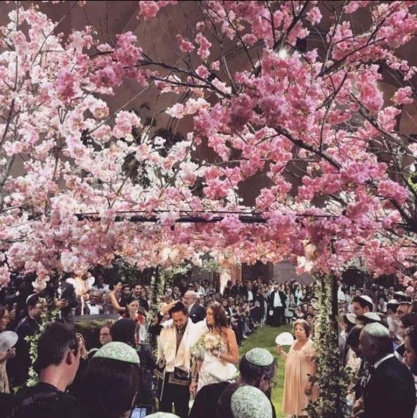 Image credit: Instagram.com/ lesisro