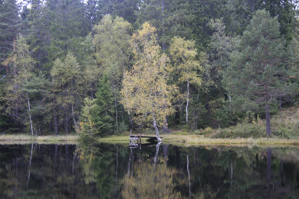 Foto: Sam Wennerlund (Flickr)