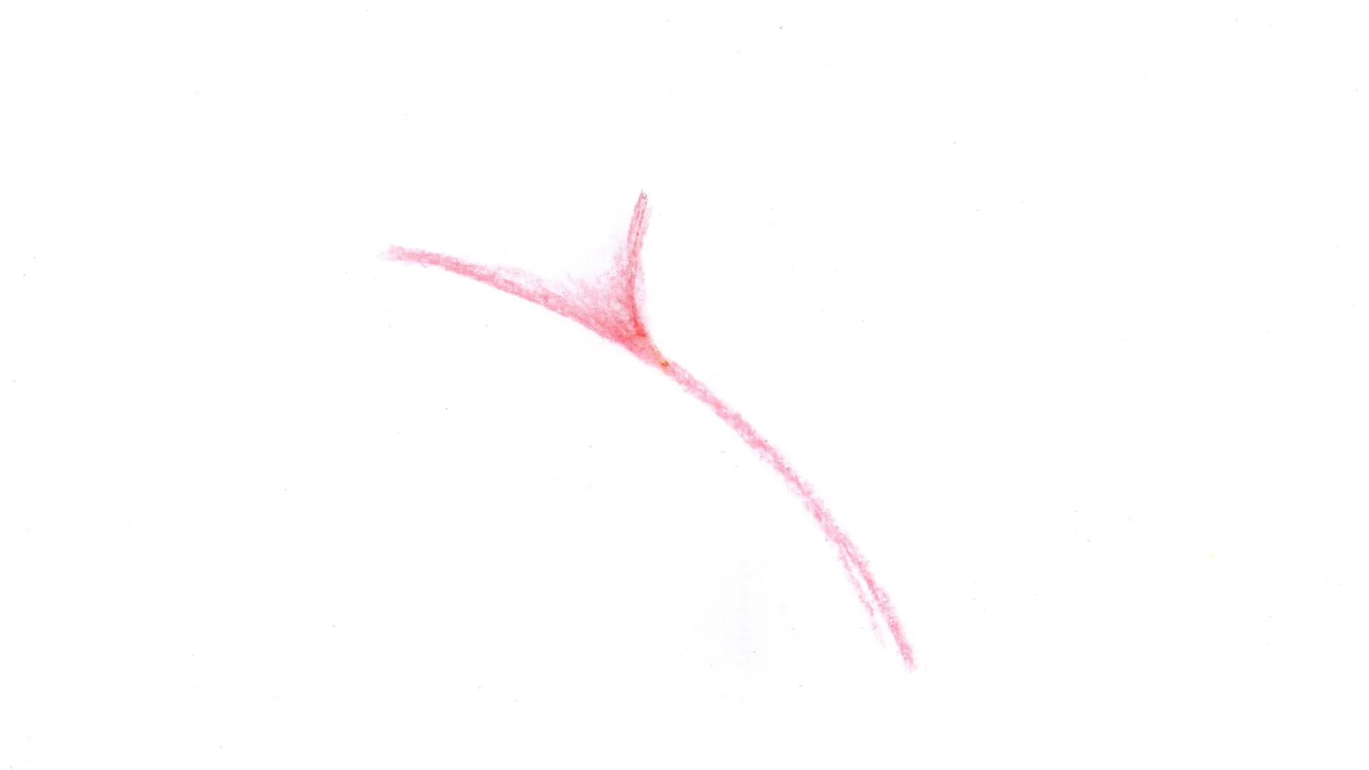 stil-012.jpg