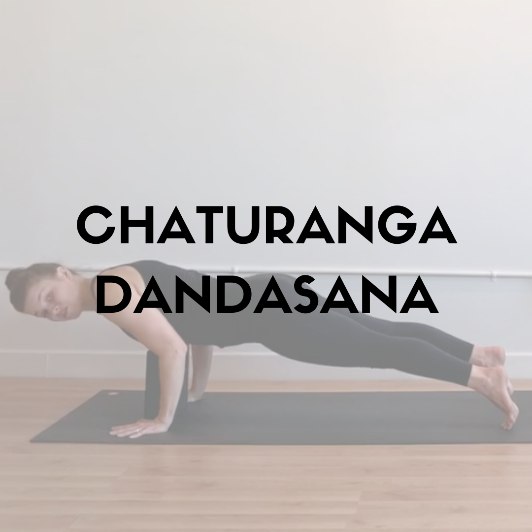  Yoga nerds unite!  I'm breaking down everyone's favorite posture that happens a whole lot in a Vinyasa class - Chaturanga Dandasana!   That's right! Over ten whole minutes discussing the finer points of the shape, ways to troubleshoot problem areas,