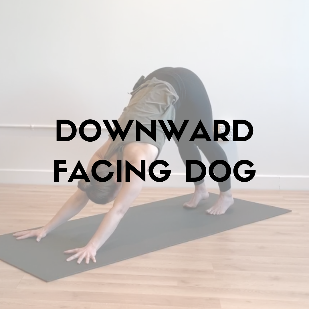  Looking for some details on how to make your Downdog more sustainable? Looking for pointers to understand what's actually going on in the shape?   I've got you!  This Posture Pointer will help you understand how to set up your hands, shed some light