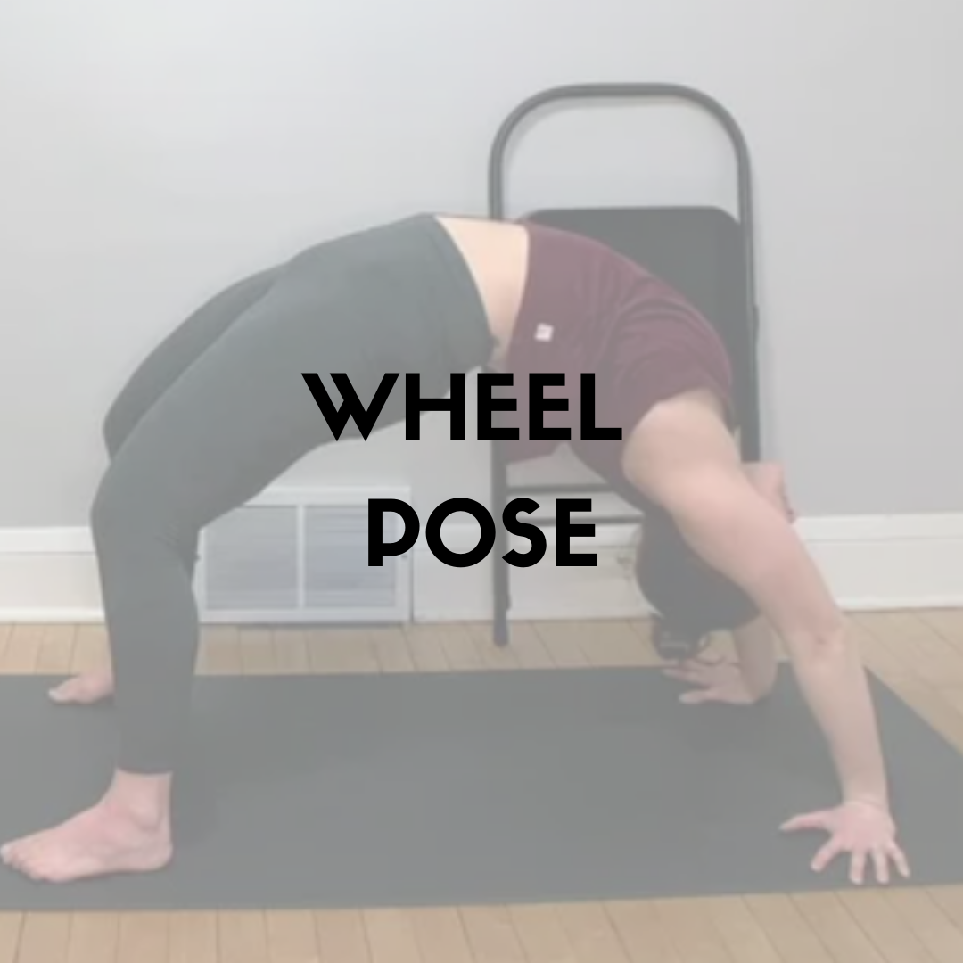  Oh, Wheel Pose - Urdhva Dhanurasana. Some folks love it. Some folks aren't too sure about it.   In this Posture Pointer I offer up a variety of ways to experiment with your Wheel Pose to create a strong, stable, and sustainable version of the shape.