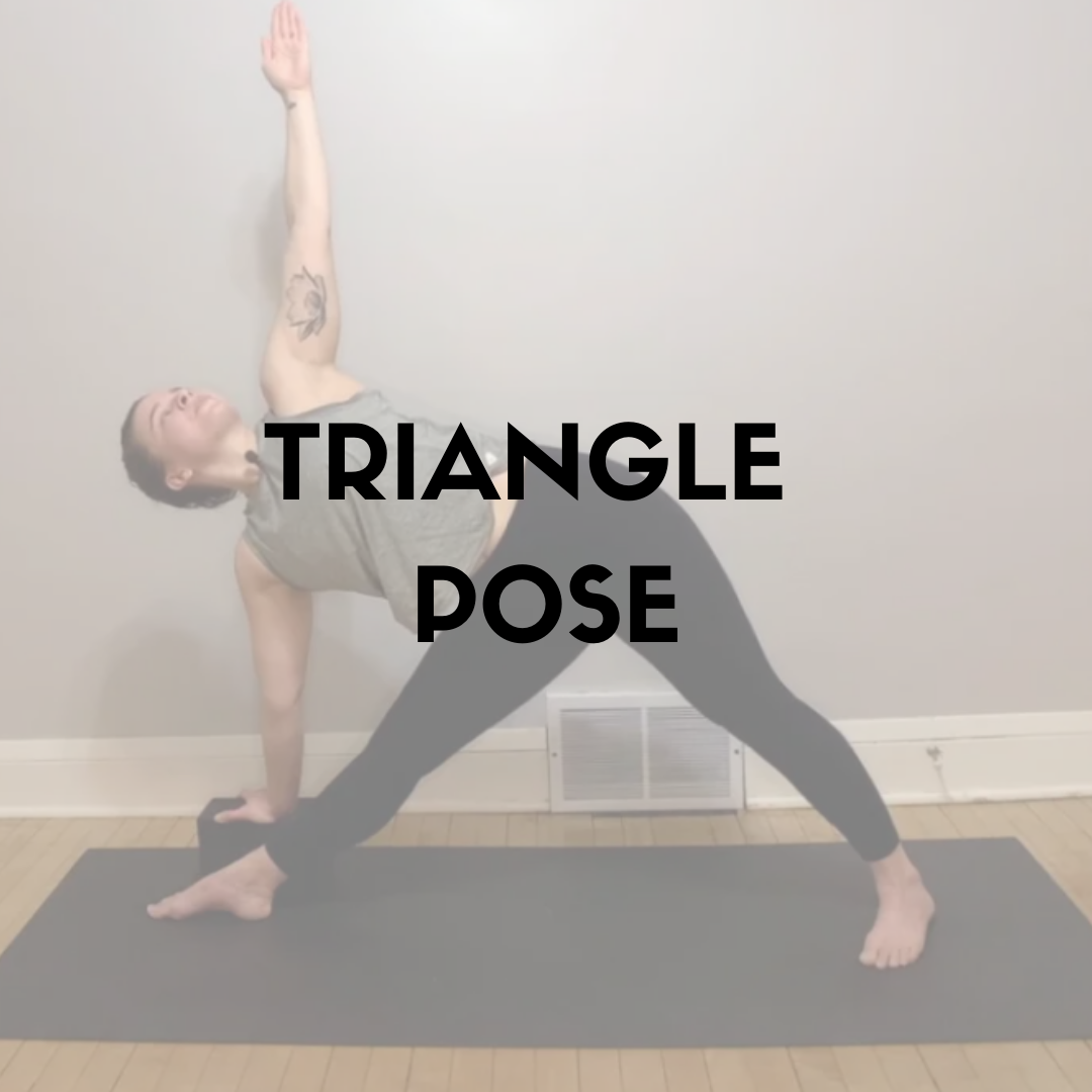  If I could teach one shape for an entire 60-minute practice I think it would Triangle Pose. I love Trikonasana!  Perhaps you feel the same. Or perhaps you feel very differently about this standing shape. Either way I think Triangle Pose is very misu