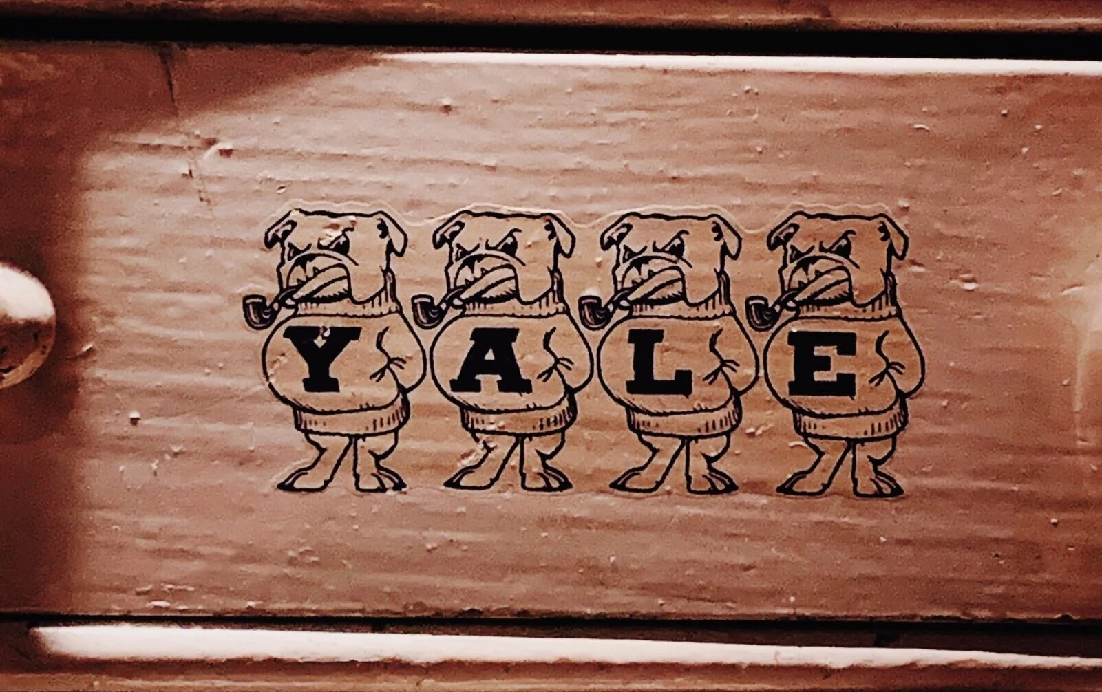 Testimonial Tuesday: Accepted to Yale University