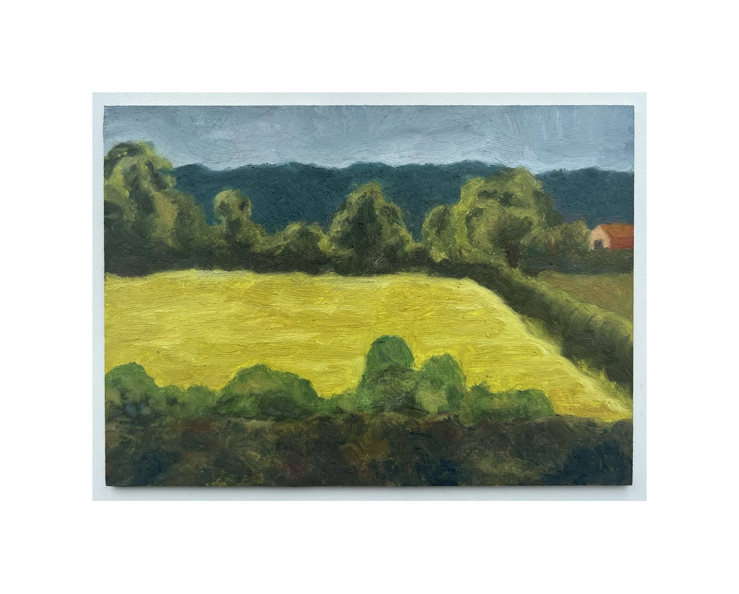 Sophia Ponte- Yellow field-min.jpeg