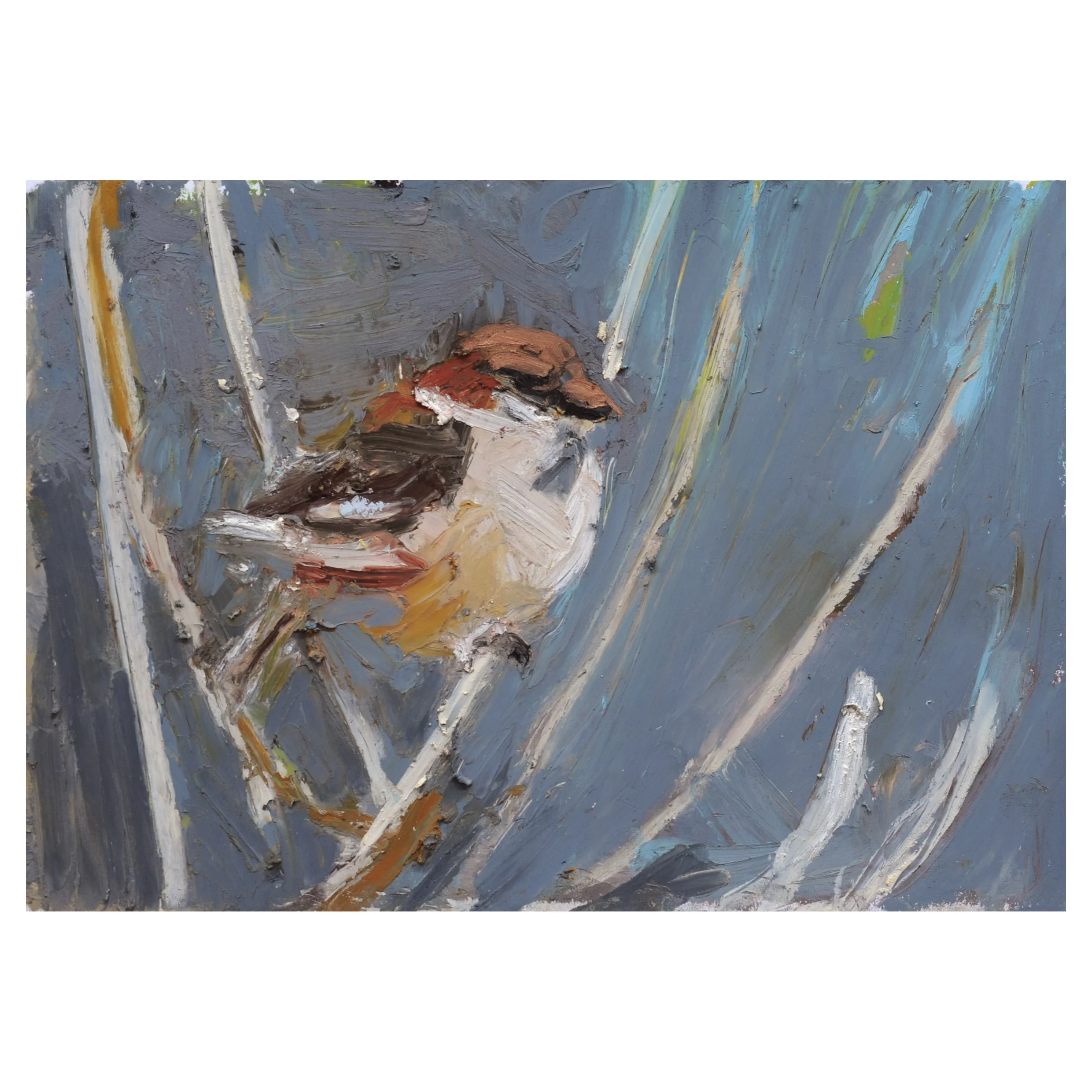 Anna.Dickerson_Chilly.day.House.Sparrow_oil.pastel.on.paper_14.7x20.8cm_110GBP.jpg