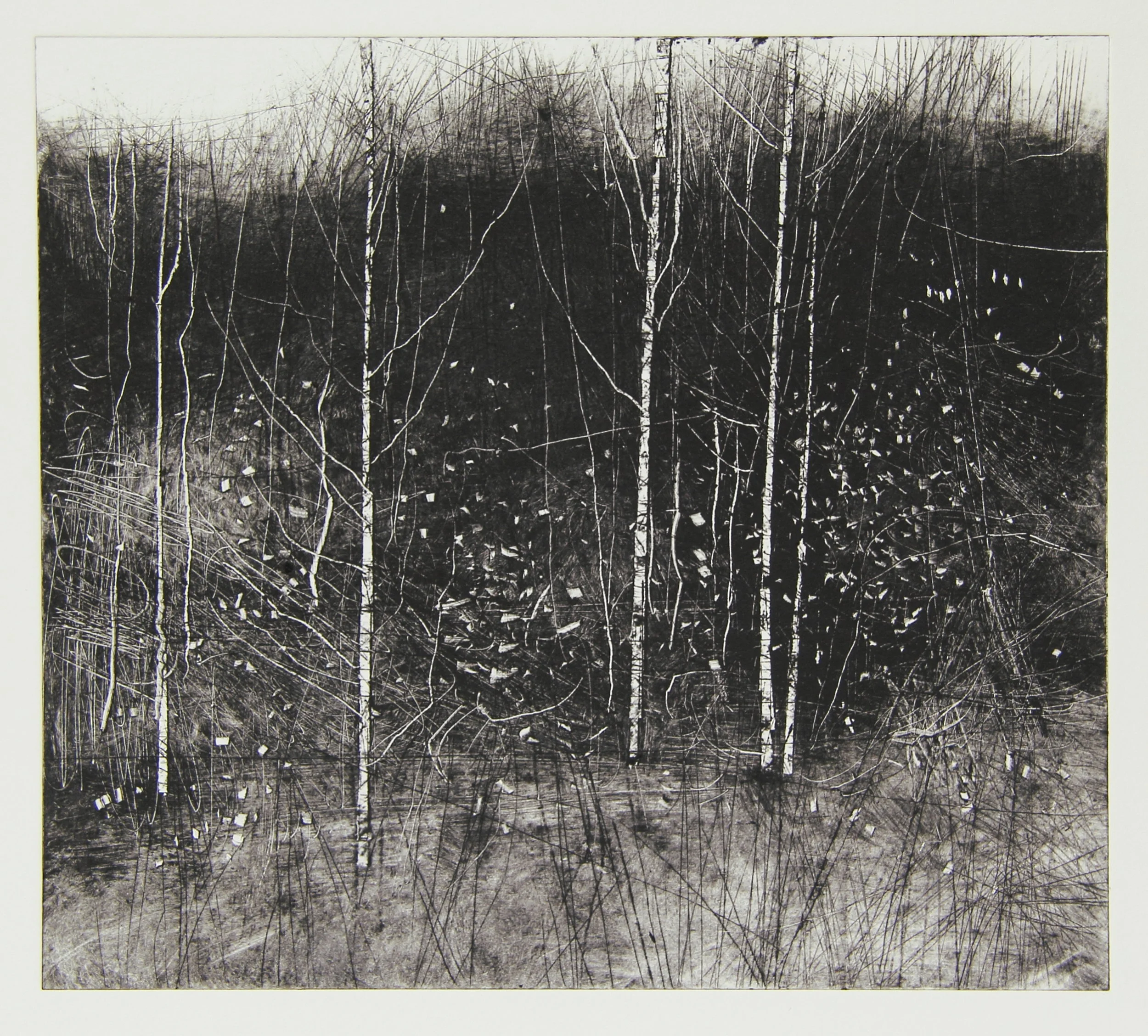 Quarry trees print 8.JPG