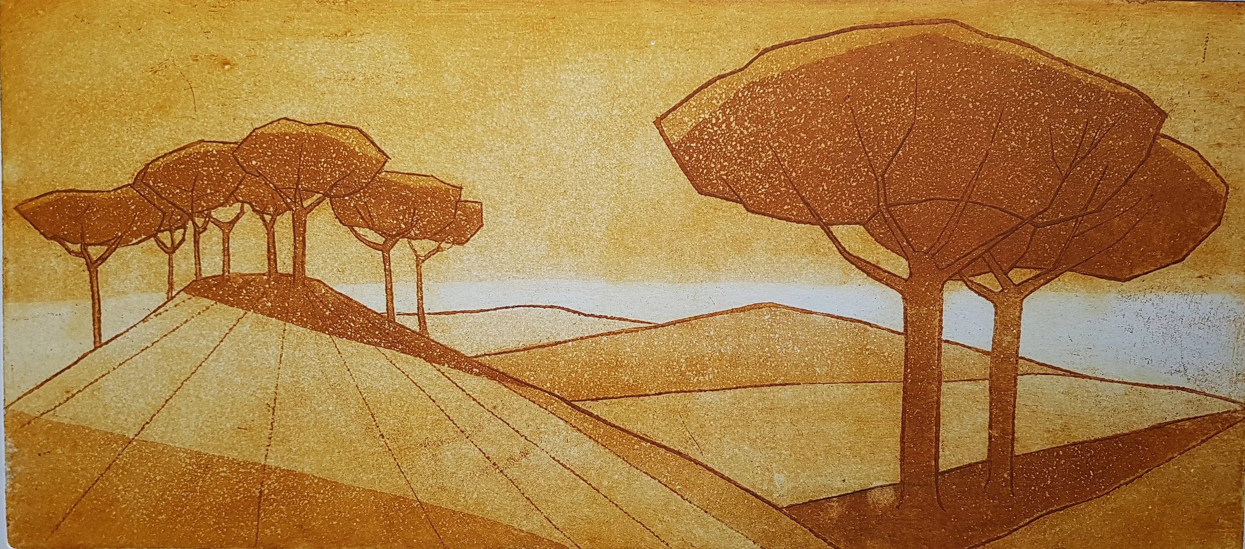 20180409_124146.jpg