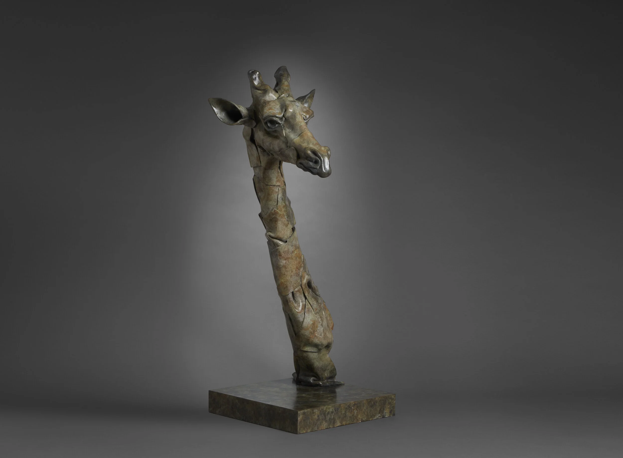 Fred Gordon Giraffe Bust 1.jpg