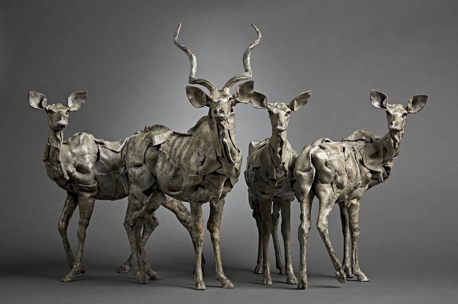 Fred Gordon Kudu Herd.jpg