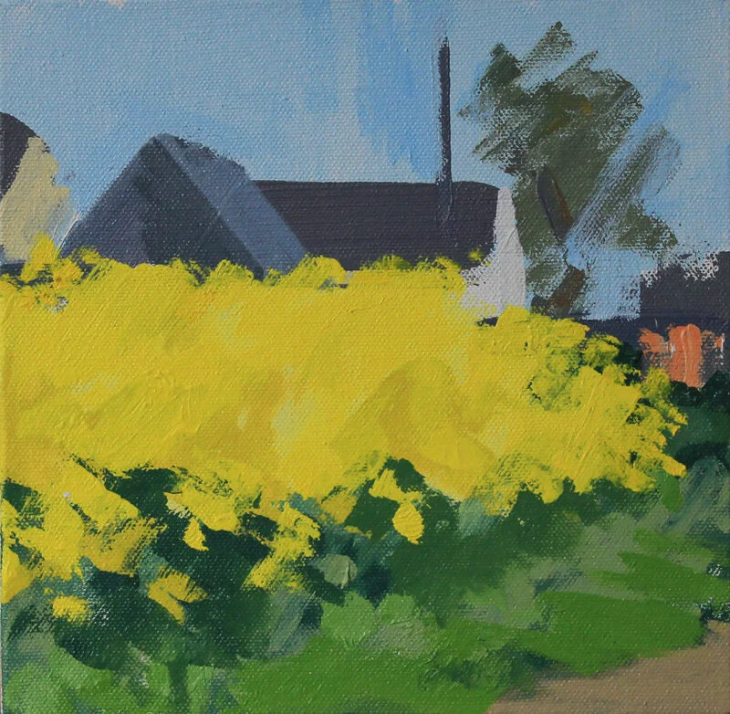 Rape seed, Soignolles.JPG