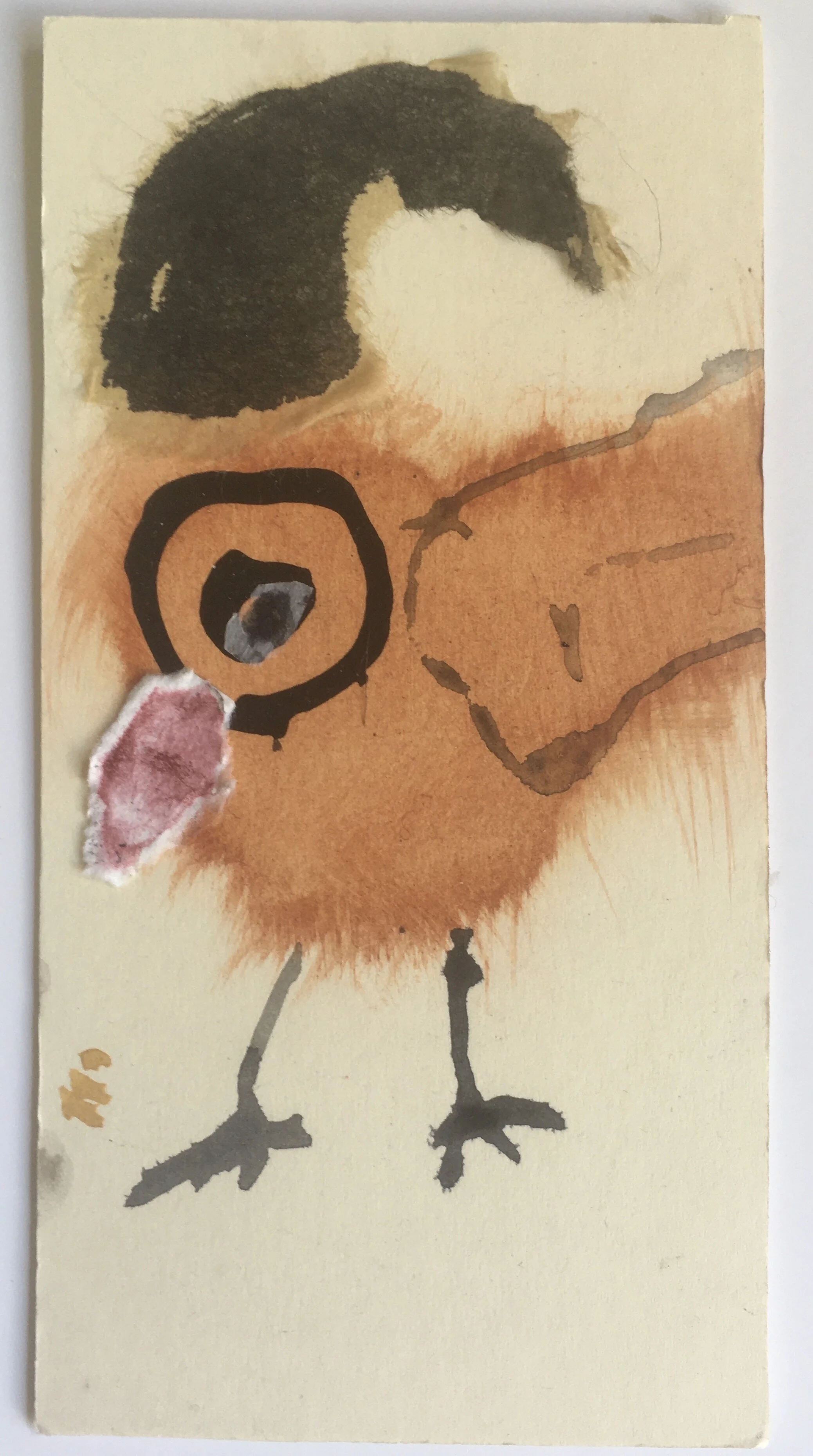 Sarah Needham - Sarah -Needham- Squawk-collage.jpeg